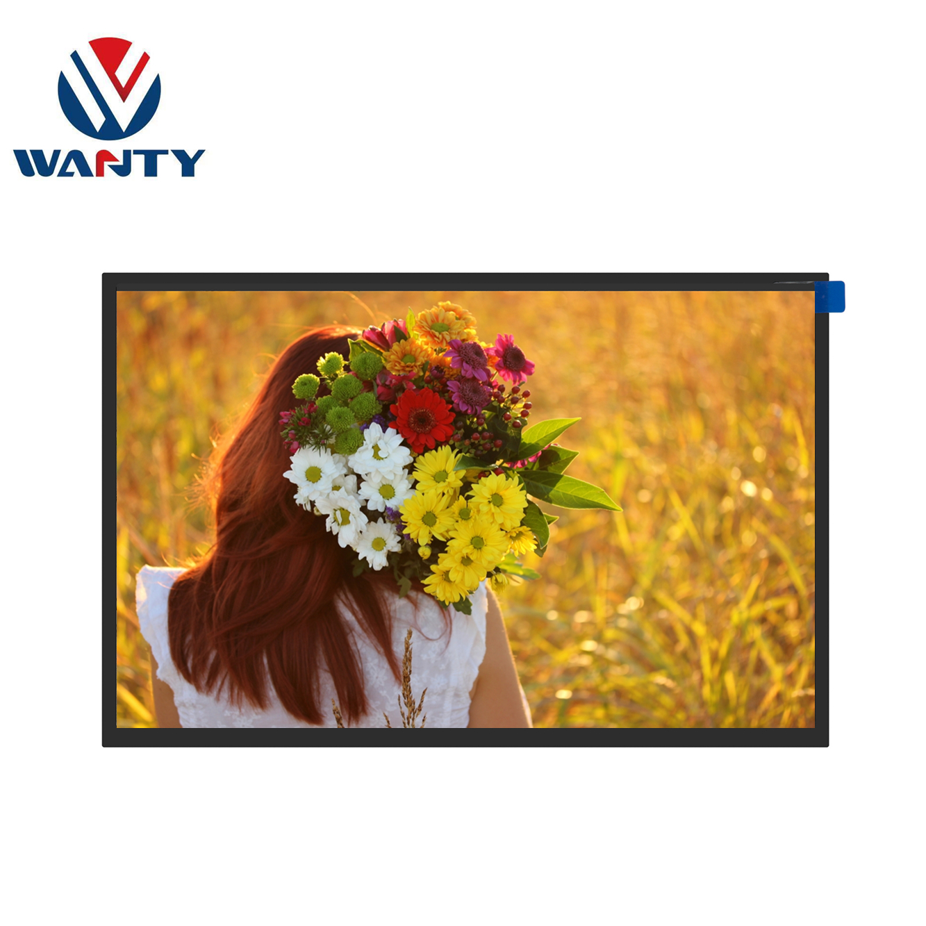 10.1-inch 1280×800 LVDS IPS Full Viewing TFT LCD Display Screen